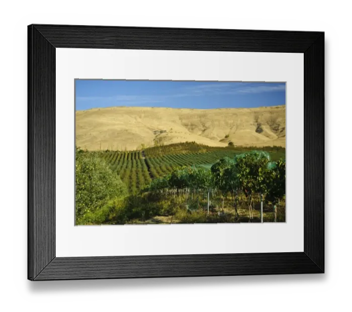 Framed Print : USA, North America, Washington Framed Print : USA, North America, Washington