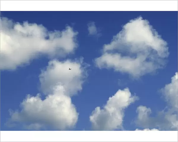 Plane flying through cloud patterns, eastern Washington, USA