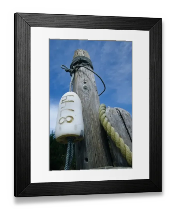 Framed Print : USA, Washington, Long Beach. Buoy and rope tied to dock piling