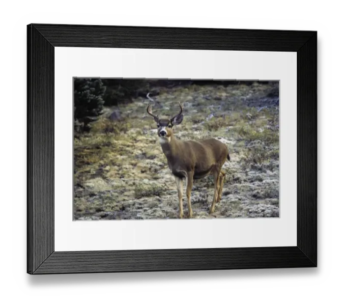 Framed Print : USA, North America, Washington Framed Print : USA, North America, Washington