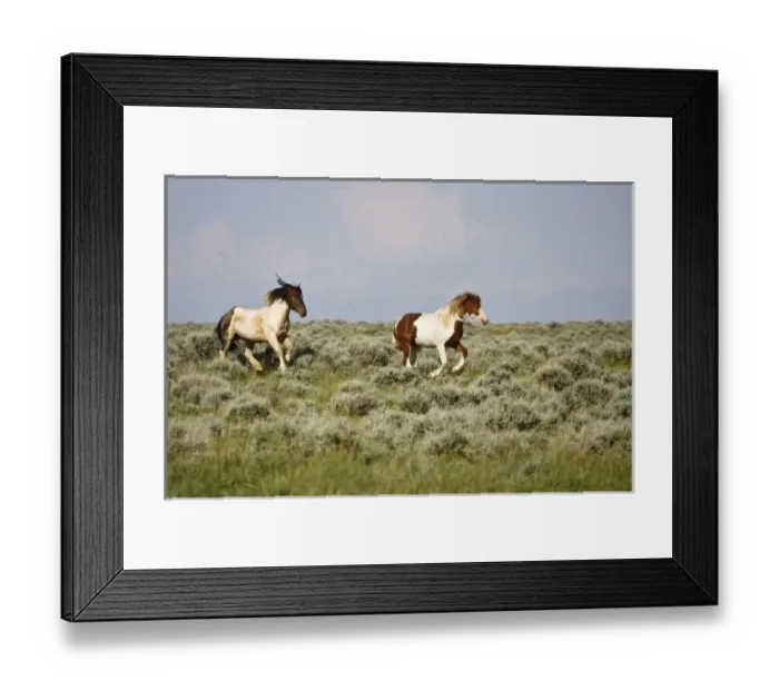 Framed Print : USA, North America, Wyoming Framed Print : USA, North America, Wyoming