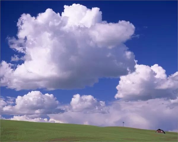 WA, Whitman County, Palouse, barn and windmill with clouds