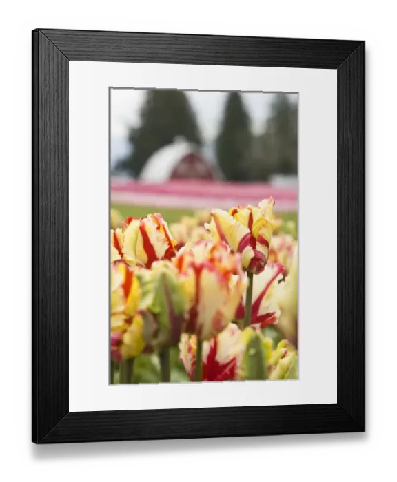 Framed Print : USA, North America, Washington Framed Print : USA, North America, Washington