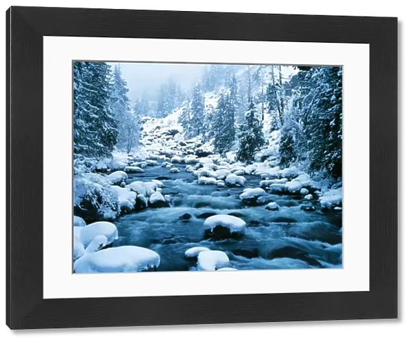 WA, Wenatchee National Forest, Cascade Mountains, Icicle Creek with a blanket of