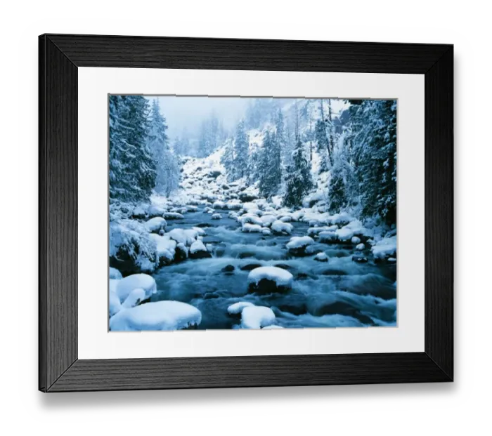 Framed Print : WA, Wenatchee National Forest, Cascade Mountains, Icicle Creek with a blanket of Framed Print : WA, Wenatchee National Forest, Cascade Mountains, Icicle Creek with a blanket of