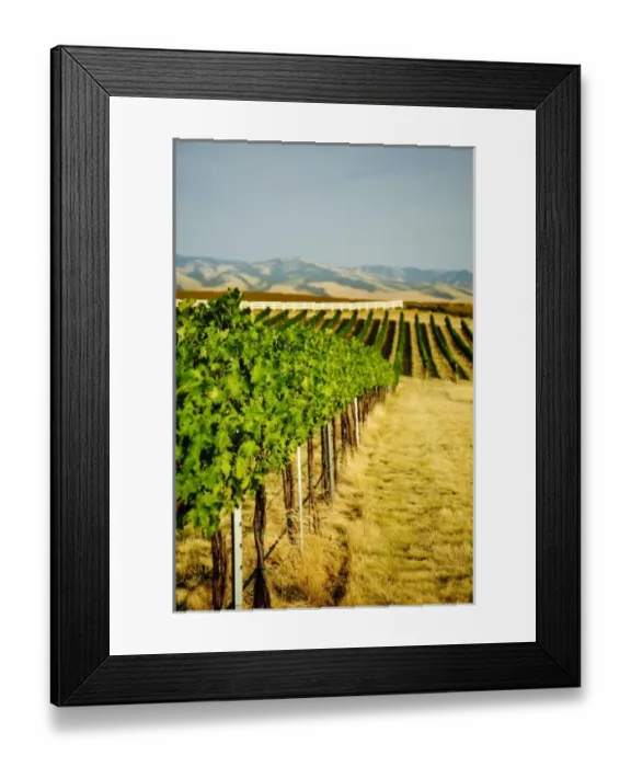 Framed Print : USA, North America, Washington Framed Print : USA, North America, Washington