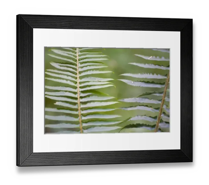 Framed Print : USA, North America, Washington