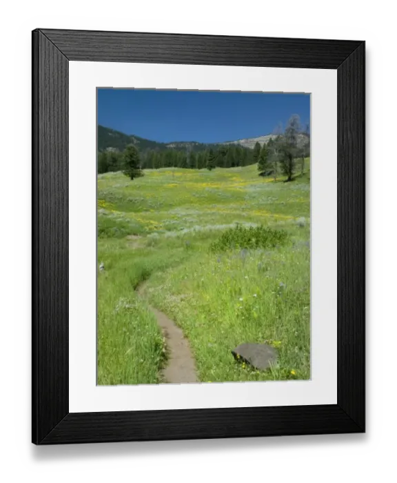Framed Print : USA, North America, Wyoming