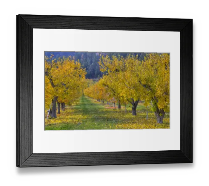 Framed Print : USA, North America, Washington Framed Print : USA, North America, Washington