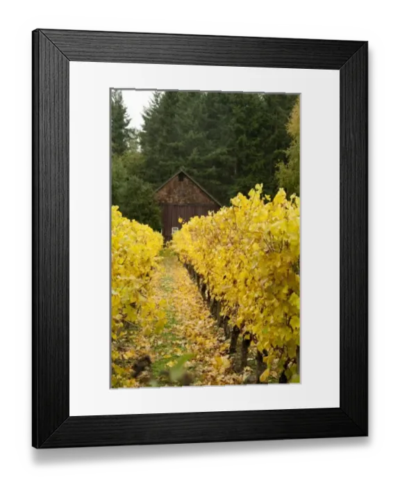 Framed Print : USA, North America, Washington Framed Print : USA, North America, Washington
