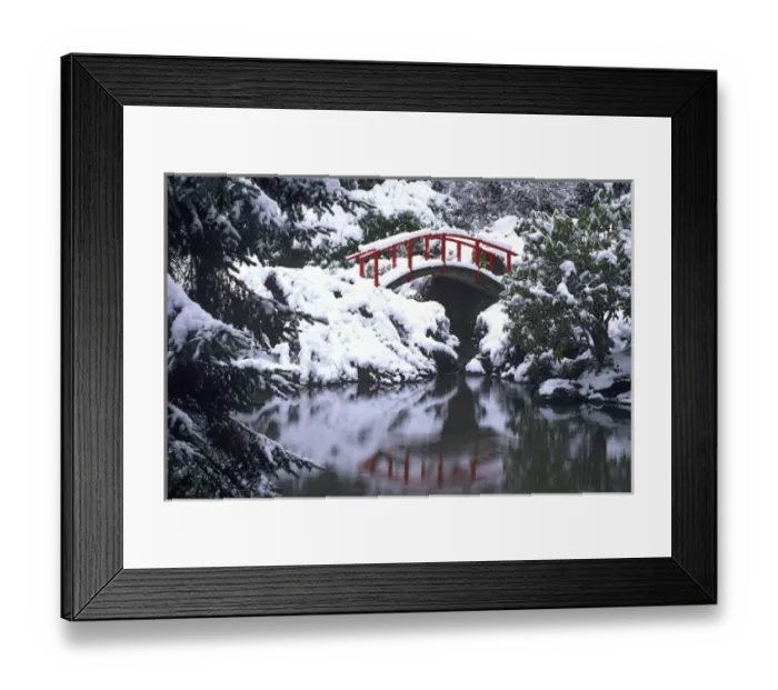 Framed Print : WA, Seattle, Moon bridge and pond after winter snow storm; Kubota Garden Framed Print : WA, Seattle, Moon bridge and pond after winter snow storm; Kubota Garden