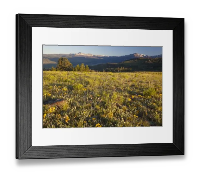 Framed Print : USA, North America, Wyoming Framed Print : USA, North America, Wyoming