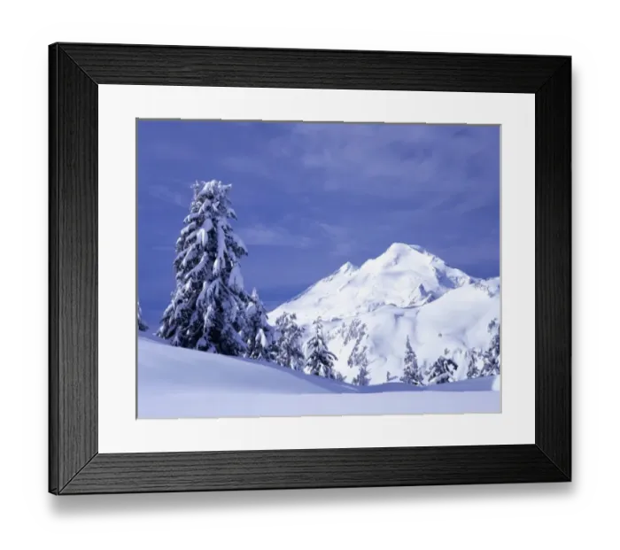 Framed Print : WA, Heather Meadows Recreation Area, Mount Baker view from Kulshan Ridge at Artist s Framed Print : WA, Heather Meadows Recreation Area, Mount Baker view from Kulshan Ridge at Artist s