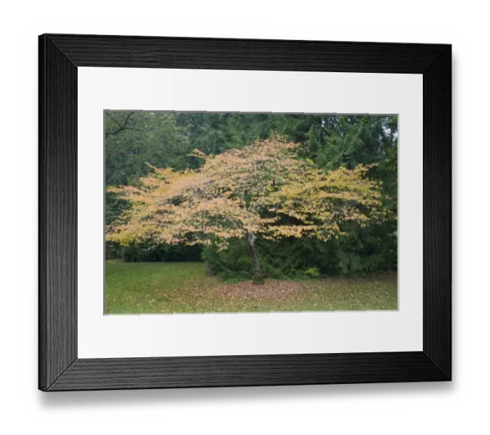 Framed Print : USA, North America, Washington Framed Print : USA, North America, Washington