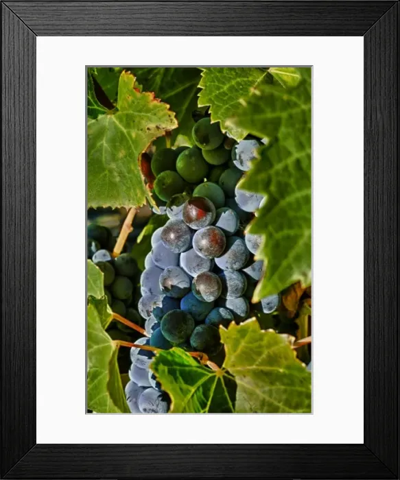 Framed Print : USA, North America, Washington Framed Print : USA, North America, Washington