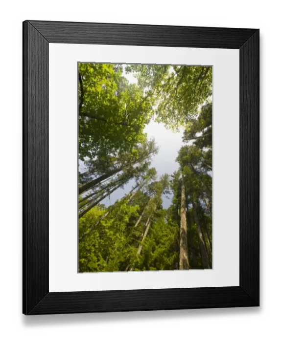 Framed Print : USA, North America, Washington