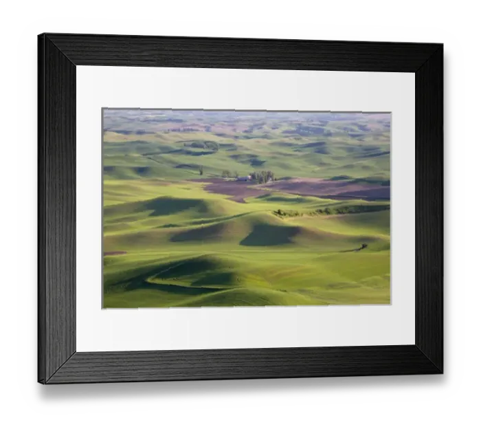 Framed Print : USA, North America, Washington