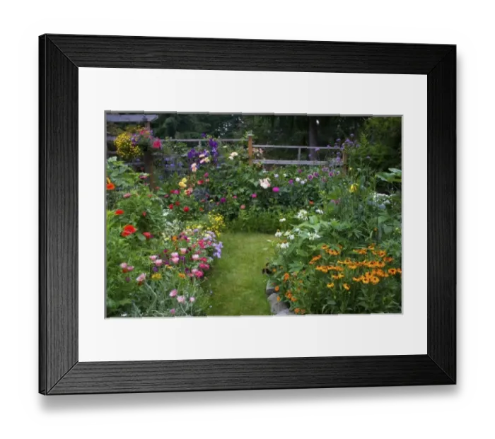 Framed Print : Flower Garden designs - Sammamish, Washington Framed Print : Flower Garden designs - Sammamish, Washington