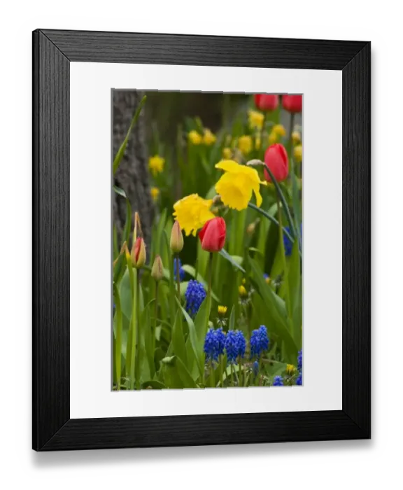 Framed Print : USA, North America, Washington