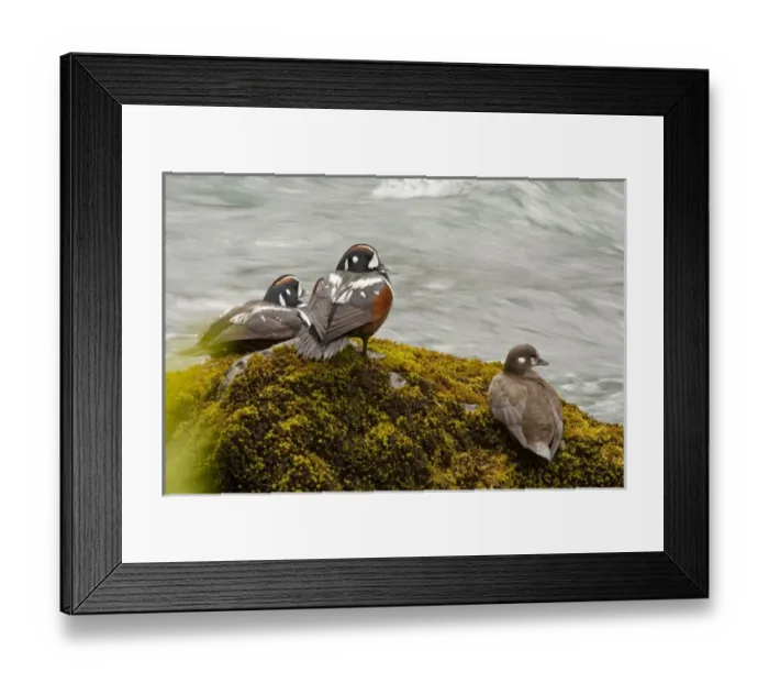 Framed Print : USA, North America, Washington Framed Print : USA, North America, Washington