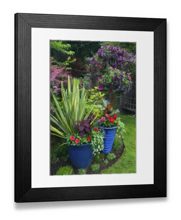 Framed Print : Garden designs in our Garden Sammamish, Washington Framed Print : Garden designs in our Garden Sammamish, Washington