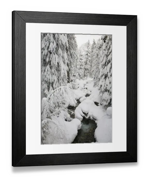 Framed Print : WA, Mount Baker Snoqualmie National Forest, Denny Creek, with a mantle of fresh snow Framed Print : WA, Mount Baker Snoqualmie National Forest, Denny Creek, with a mantle of fresh snow