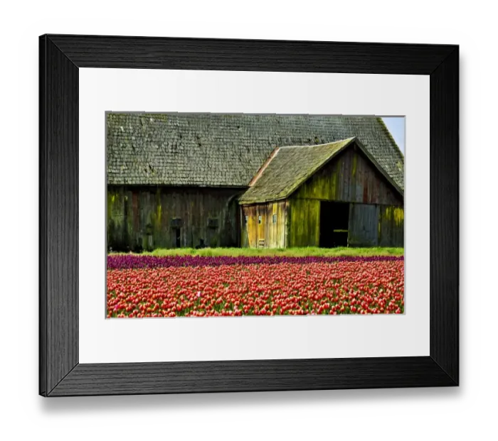 Framed Print : USA, North America, Washington Framed Print : USA, North America, Washington