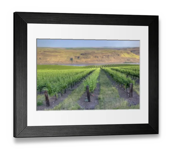 Framed Print : USA, North America, Washington Framed Print : USA, North America, Washington