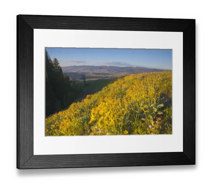Framed Print : USA, North America, Wyoming