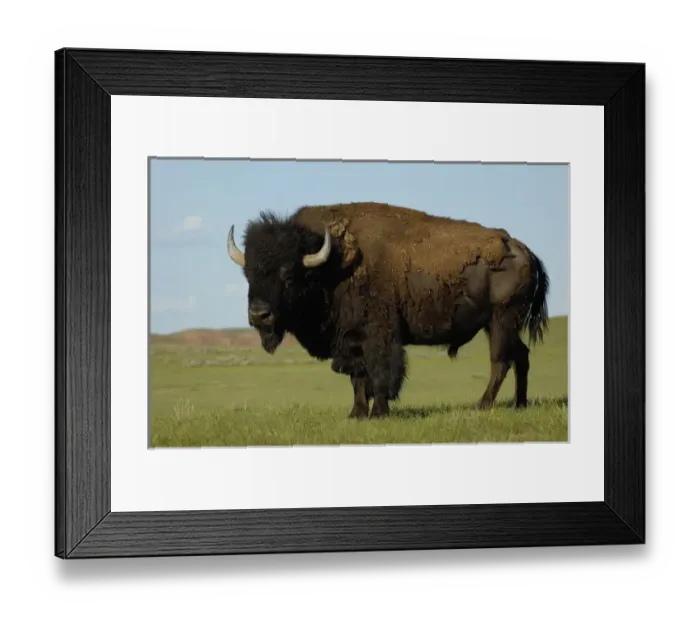 Framed Print : USA, North America, Wyoming Framed Print : USA, North America, Wyoming