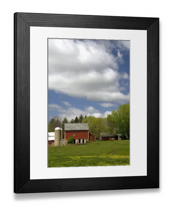 Framed Print : Horse graze in front of a red barn on a farm in Sauk County, Wisconsin, USA