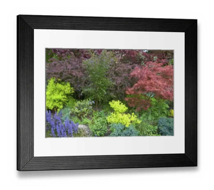 Framed Print : USA, North America, Washington Framed Print : USA, North America, Washington