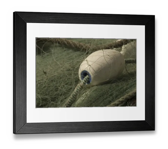 Framed Print : Green Nylon Fishing Net and White Buoys at Gooseberry Point, Bellingham, Washington, US Framed Print : Green Nylon Fishing Net and White Buoys at Gooseberry Point, Bellingham, Washington, US