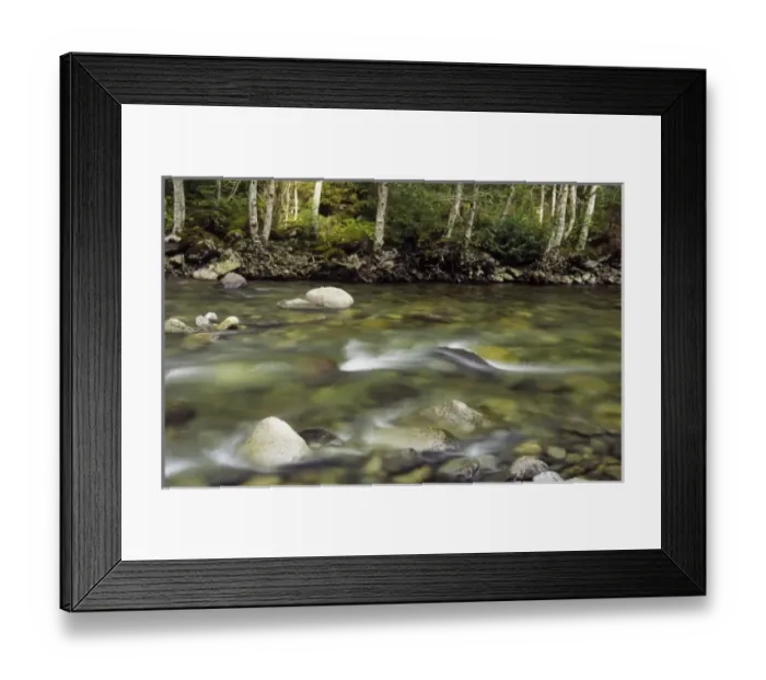 Framed Print : USA, North America, Washington Framed Print : USA, North America, Washington