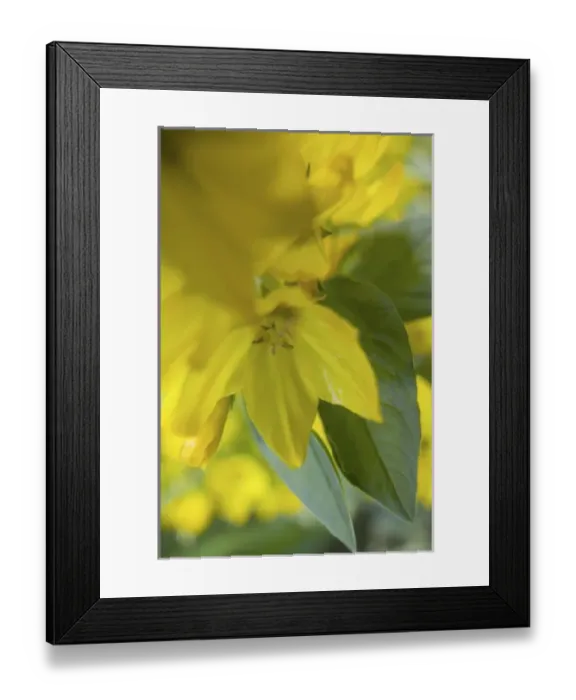 Framed Print : USA, North America, Washington Framed Print : USA, North America, Washington