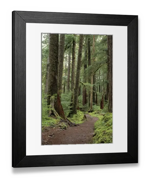 Framed Print : USA, North America, Washington Framed Print : USA, North America, Washington