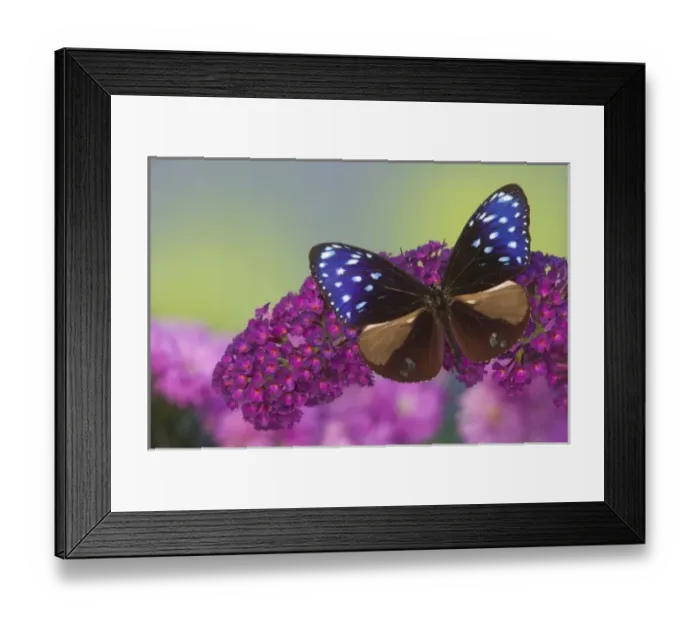 Framed Print : USA, North America, Washington Framed Print : USA, North America, Washington