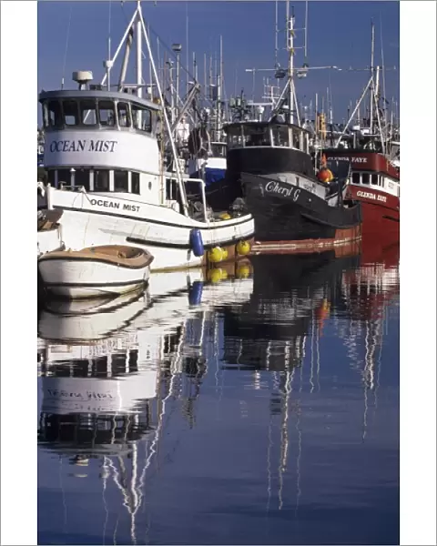 WA, Seattle, Fishing boats moored at Fishermens Terminal