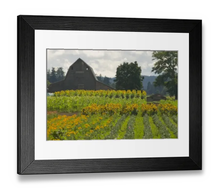 Framed Print : USA, North America, Washington Framed Print : USA, North America, Washington