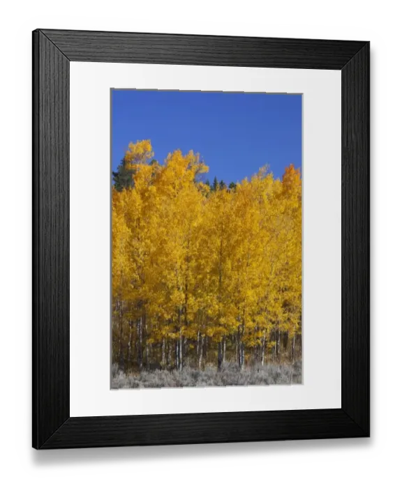 Framed Print : USA, North America, Wyoming Framed Print : USA, North America, Wyoming
