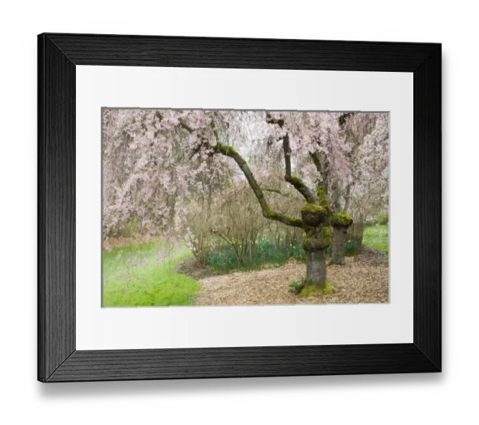 Framed Print : USA, North America, Washington