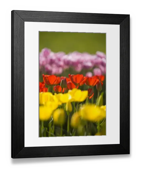 Framed Print : USA, North America, Washington Framed Print : USA, North America, Washington