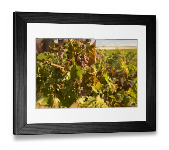 Framed Print : USA, North America, Washington Framed Print : USA, North America, Washington