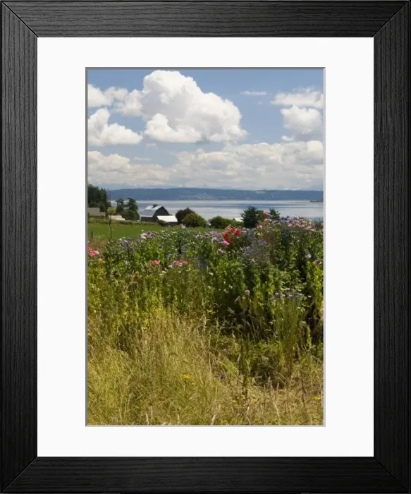 Framed Print : USA, North America, Washington Framed Print : USA, North America, Washington