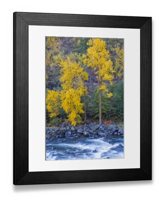 Framed Print : WA, Wenatchee NF, near Leavenworth, Tumwater Canyon; Autumn color along the Wenatchee