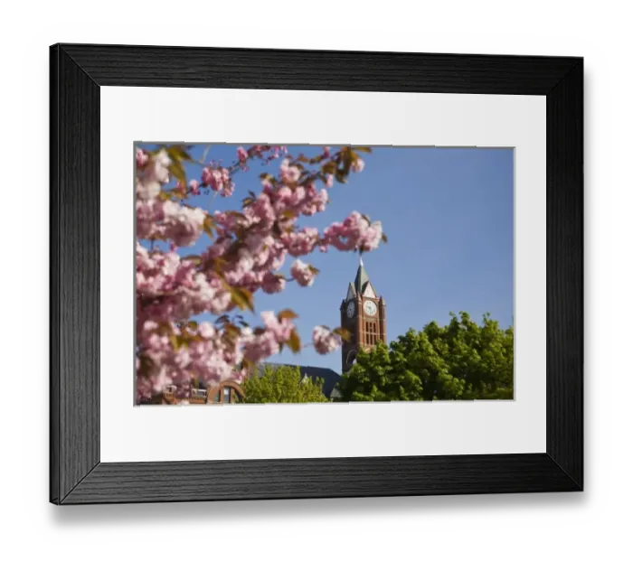 Framed Print : Courthouse clock tower in Port Townsend, WA