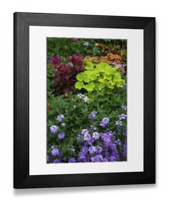 Framed Print : USA, North America, Washington Framed Print : USA, North America, Washington