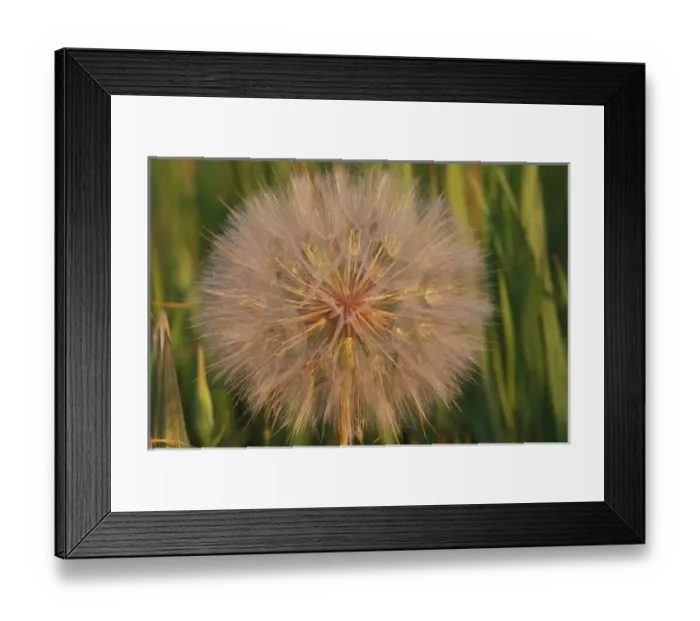 Framed Print : USA, North America, Wyoming Framed Print : USA, North America, Wyoming