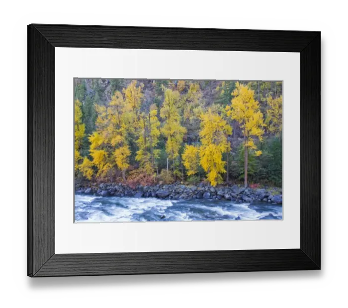 Framed Print : WA, Wenatchee NF, near Leavenworth, Tumwater Canyon; Autumn color along the Wenatchee