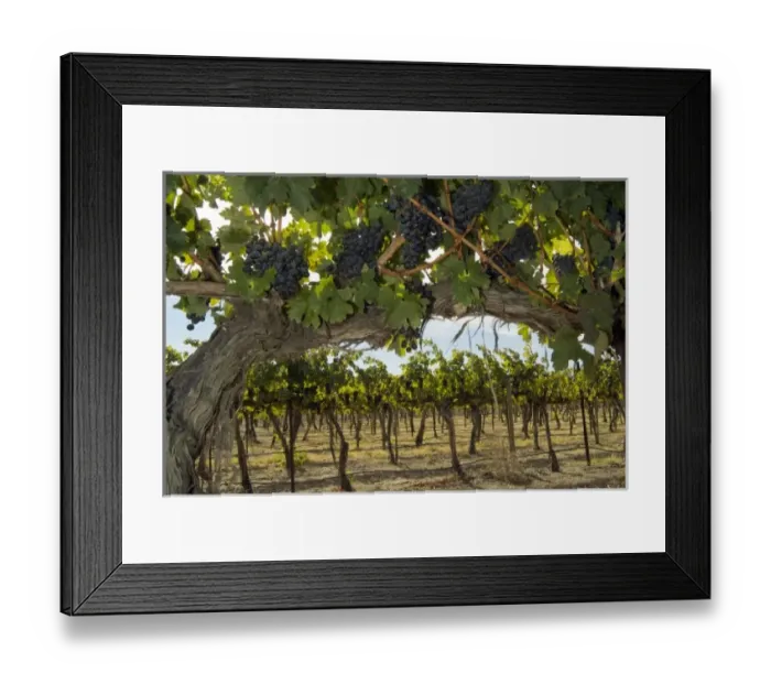 Framed Print : USA, North America, Washington Framed Print : USA, North America, Washington